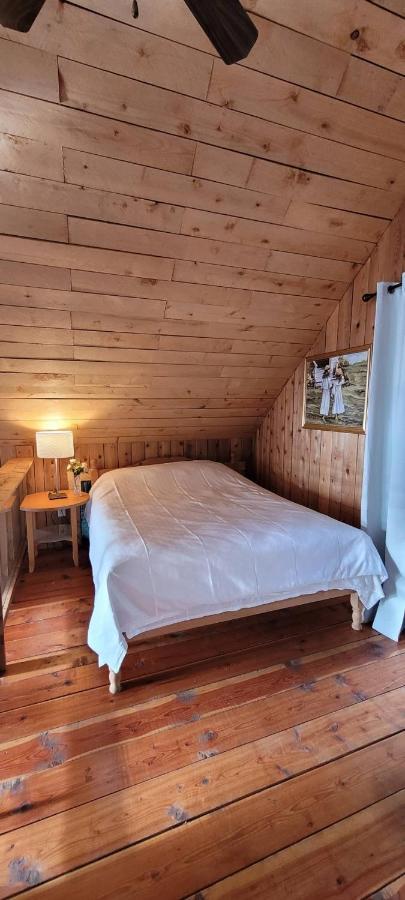 Villa Ocean Views & Sunset Beach Cabin With Soaker Tub & Fire Pit à Powell River Extérieur photo