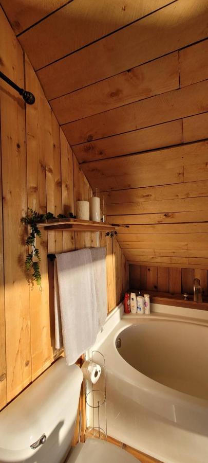 Villa Ocean Views & Sunset Beach Cabin With Soaker Tub & Fire Pit à Powell River Extérieur photo